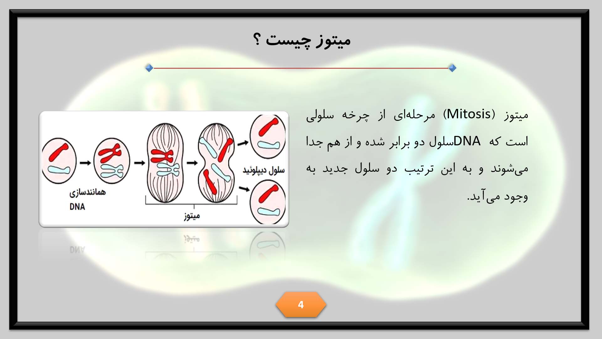 پاورپوینت در مورد تقسیم میتوز 